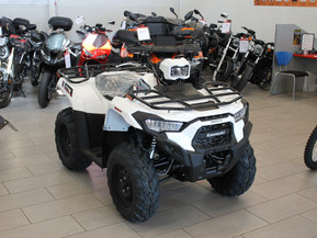 Kawasaki Brute Force