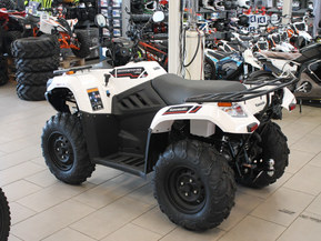 Kawasaki Brute Force