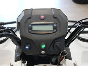 Kawasaki Brute Force