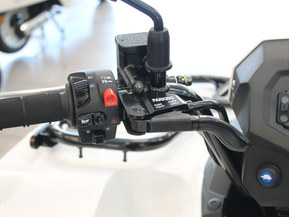 Kawasaki Brute Force