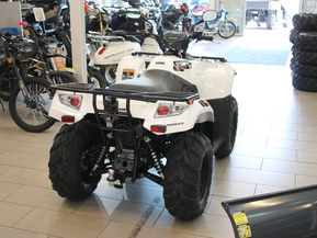 Kawasaki Brute Force