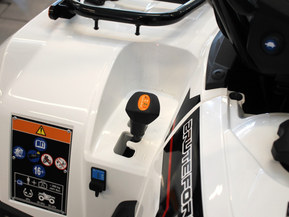 Kawasaki Brute Force