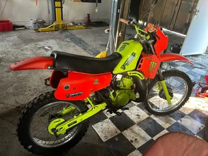 Suzuki TS