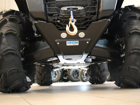 Kawasaki Brute Force