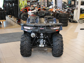 Kawasaki Brute Force