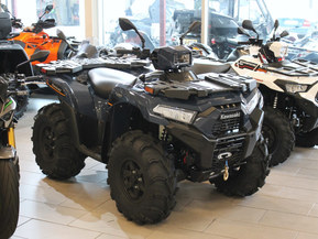 Kawasaki Brute Force