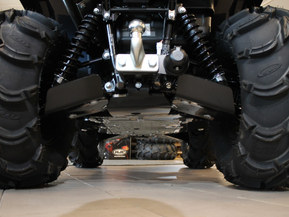 Kawasaki Brute Force
