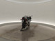 Suzuki GSX-R