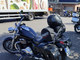 Triumph Thunderbird