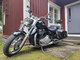 Triumph Thunderbird