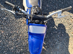 Yamaha PW