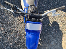 Yamaha PW