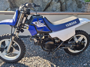 Yamaha PW