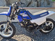 Yamaha PW