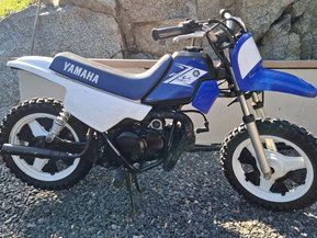 Yamaha PW