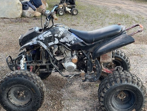 Bashan BS250S-5