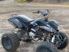 Bashan BS250S-5