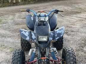 Bashan BS250S-5