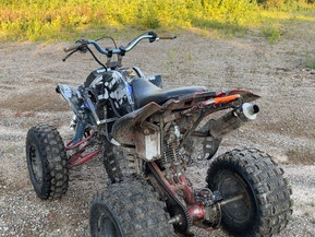 Bashan BS250S-5