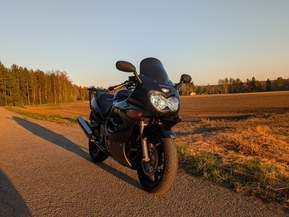 Suzuki GSX