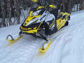 Ski-Doo Renegade
