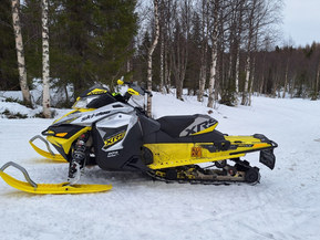 Ski-Doo Renegade