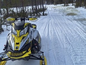 Ski-Doo Renegade