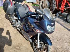 Suzuki GSX