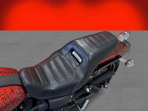 Harley-Davidson Dyna