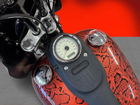 Harley-Davidson Dyna