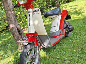 Yamaha Passola