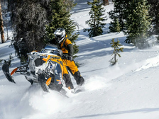 Polaris RMK