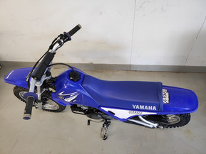 Yamaha PW