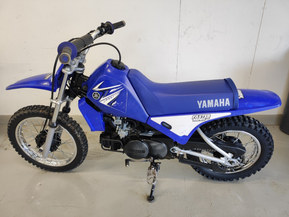 Yamaha PW