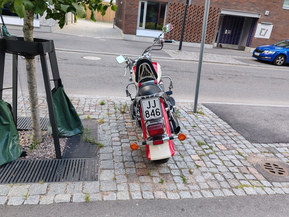 Suzuki VL