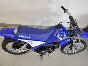 Yamaha PW