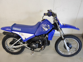 Yamaha PW