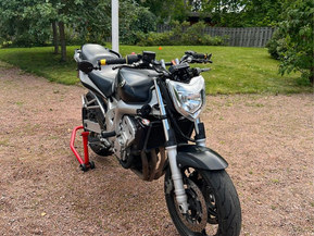 Yamaha FZ6-N