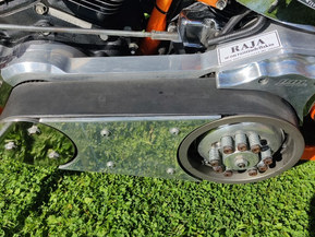 Harley-Davidson Softail