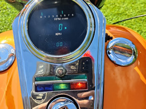 Harley-Davidson Softail