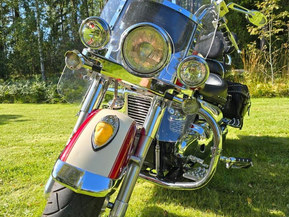 Suzuki VL