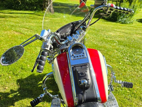 Suzuki VL