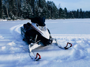 Yamaha FX Nytro