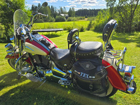 Suzuki VL