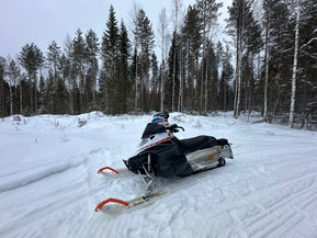 Yamaha FX Nytro