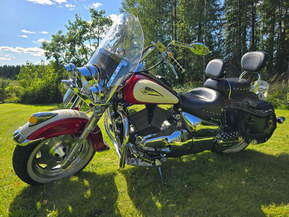 Suzuki VL