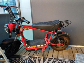 Skyteam MadNut e-Mini Electric