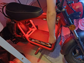 Skyteam MadNut e-Mini Electric