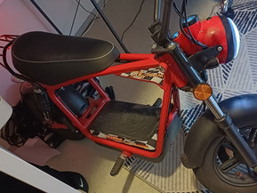 Skyteam MadNut e-Mini Electric