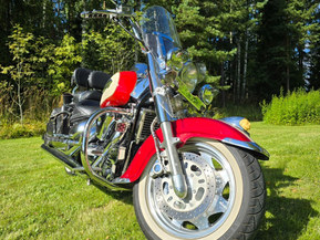 Suzuki VL